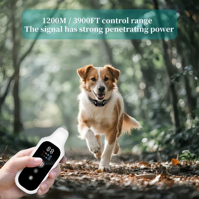 PetAura™ Smart Training Collar